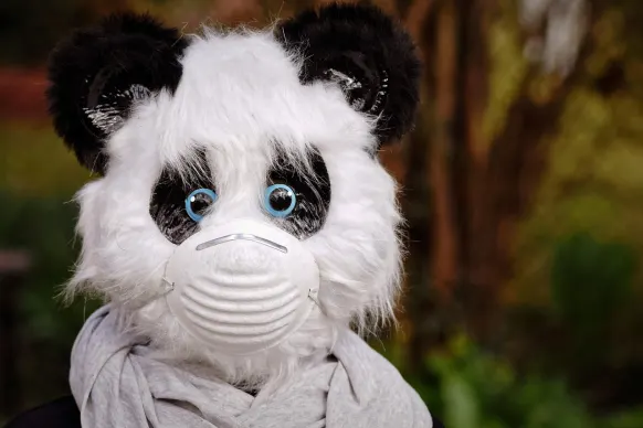 Oppa88888888 Kazino Atbalsts